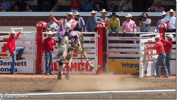 Saddle Bronc, Calgary